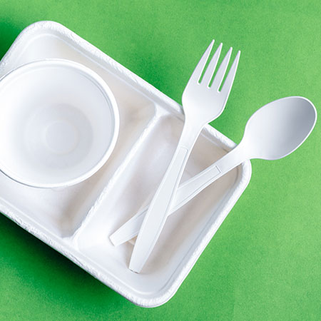 Biodegradable Disposable Tableware - 8-4